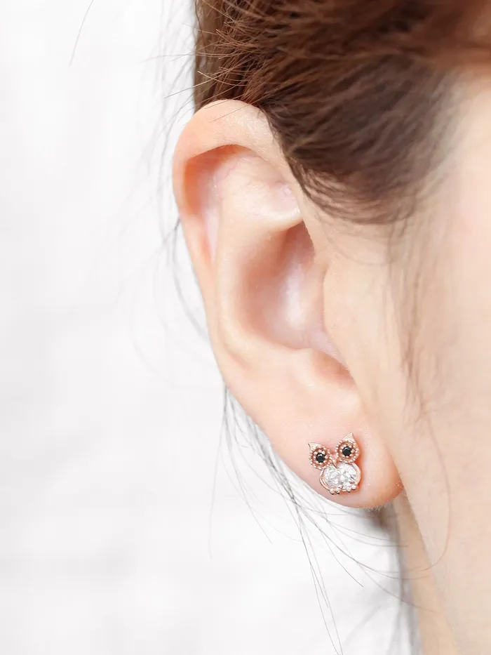 14K Gold Owl Cubic Cartilage Earring 18G16G MinimalBijoux Earrings